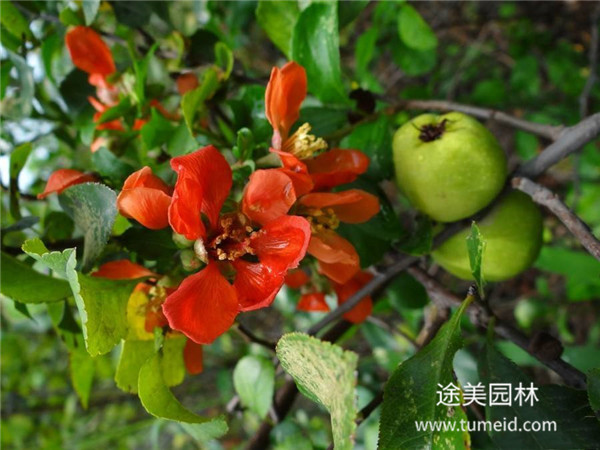 http://www.zyybxy.cn/ch/30.html