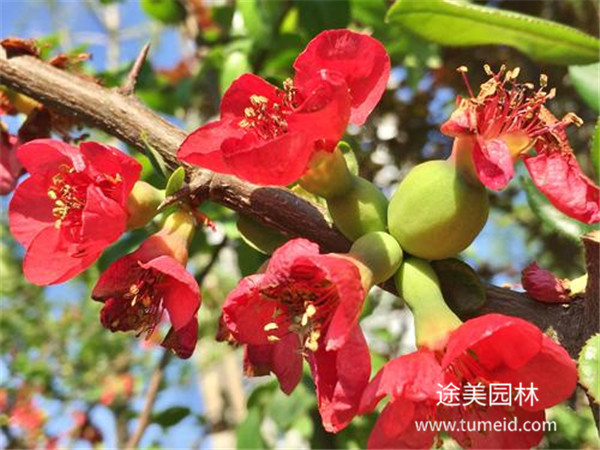 http://www.zyybxy.cn/ch/30.html